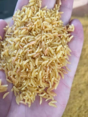 201 304 SS Sztuczne wytwarzanie ryżu Wzmocniona maszyna do ryżu 150 kg / H