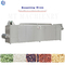 Maszyna do ryżu wzmocnionego CE ISO 380 V 3-FAZOWA wytłaczarka dwuślimakowa